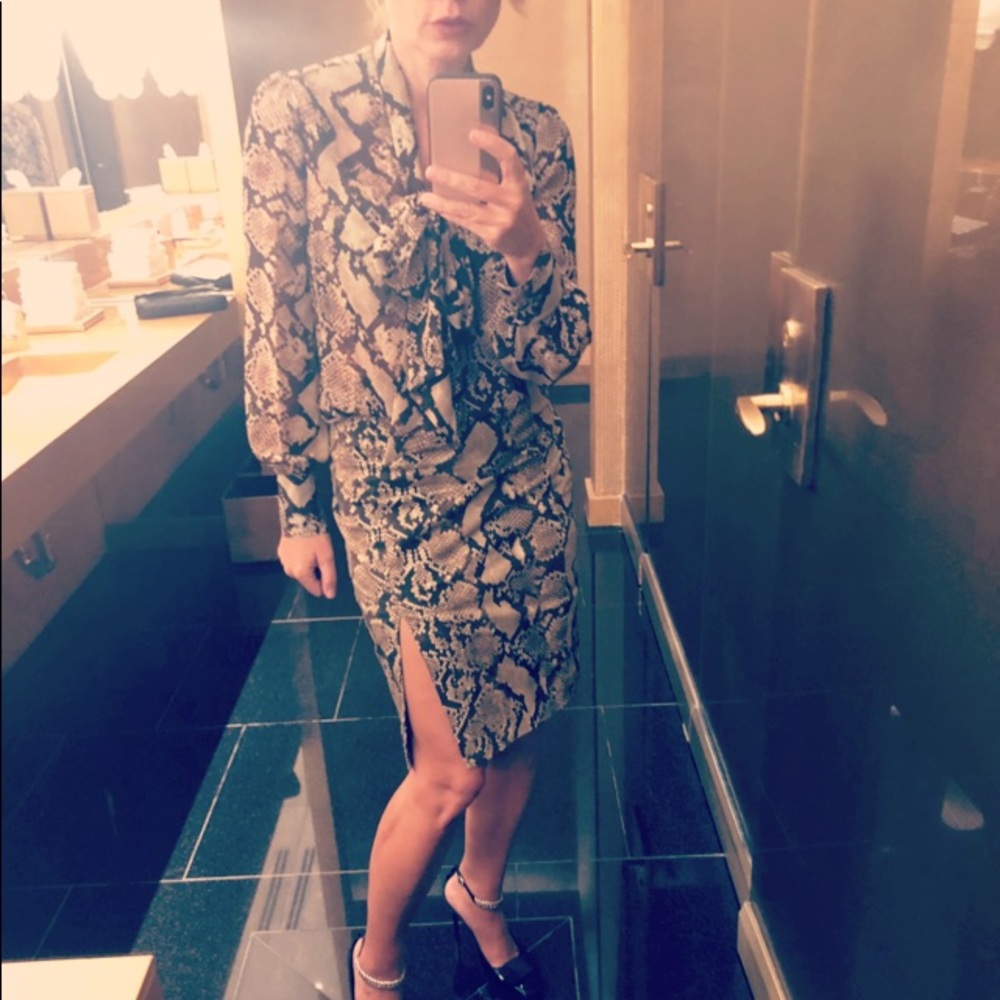Altuzarra for Target skirt and blouse set snake 🐍